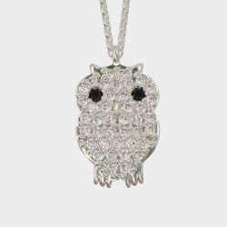 Pendentif hibou en argent Cadeau pour un professeur 0026L