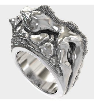 Ανδρικο Δαχτυλιδι Ο Δρακος Του Κομοντο 0323