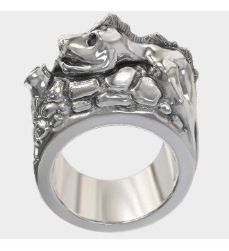 Herrenring Der Komodo-Drache 0323