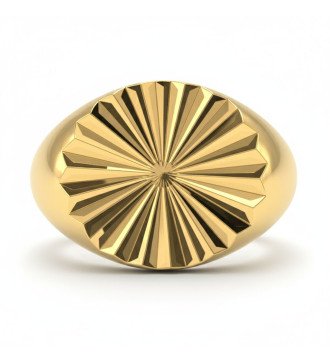 Eleganter Luxus Geschenk Frauen Chevalier Silber Ring 925