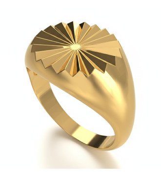 Elegante regalo di lusso Anello Chevalier da donna in argento