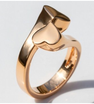 Romantisches Liebesgeschenk Chevalier Silberring mit