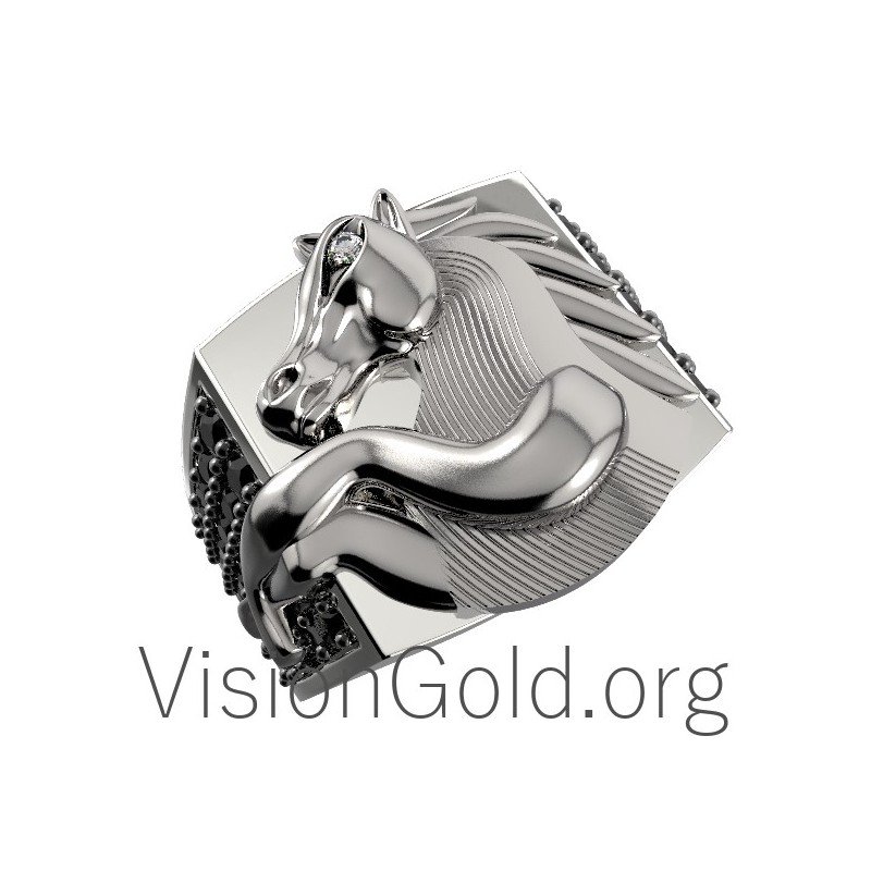 Rings for Horse Lovers & Riders 0101