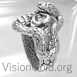 Художественный Серебряное мужское кольцо с черепом и змеей 0022