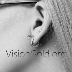 Pendientes de tuerca para mujer de plata de ley 925 con diseño de cobra y serpiente, a la moda  Pendientes para mujer 0160