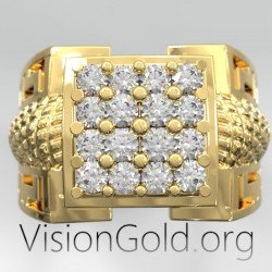 Мужское кольцо с меандром из золота K14 H 925 Silver - VisiongoldⓇ Rings 0551